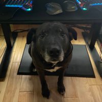 bl0rq (@bl0rq) 's Twitter Profile