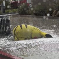. (@vbadrxo) 's Twitter Profile