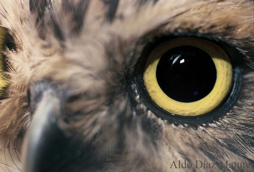 RojasBello7's profile picture. Excelente, triunfador y ejemplo de FE