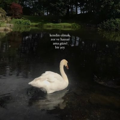 1dalpapatya's profile picture. Bu tweetler sadece hayal ürünüdür