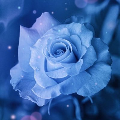 umiさんのプロフィール画像