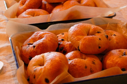 madoi_mana's profile picture. 岐阜市長良　築100年を越える古い町家で、喫茶を営んでいます。 

openは水・金・第一日曜日。11時〜16時。

天然酵母パン・酵母のおやつを日々焼いています。