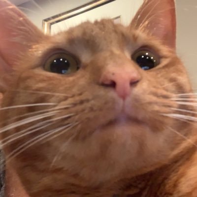 ItzYaboiPixelさんのプロフィール画像