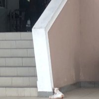 syarifudin (@imanhykalll) 's Twitter Profile