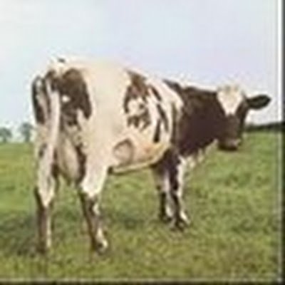 steppnav's profile picture. 