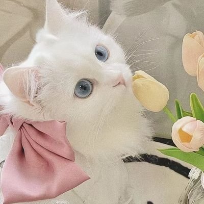 iliana94381536's profile picture. 