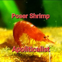 PoserShrimpApoliticalist(@PoserShrimpPSA) 's Twitter Profile Photo