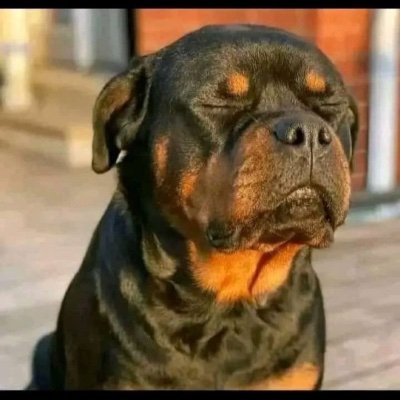 XolaniB14's profile picture. 