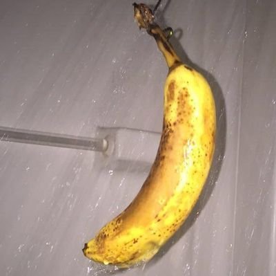 E_E_Efi's profile picture. Your friendly neighbourhood microwave!