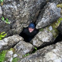 NW13 (@willowsacorns) 's Twitter Profile