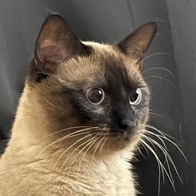 LYY41813135's profile picture. Don't let it go that deep, just breathe.