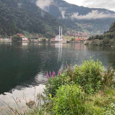 kld336277631's profile picture. كاظمٍ للغيض عافِ عن الناس