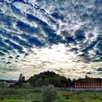 LANG (@navarrolang) 's Twitter Profile