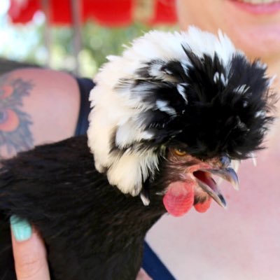 Just a mountain girl who loves all animals and things found in nature. Business graduate @CSUF #Chickens #Animals #Dogs #MotherNature #GirlPower