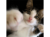 Fred Croft - @FredCroft2 - Twitter