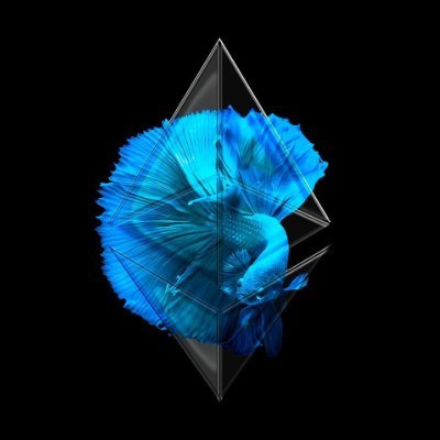 yxcv_asdfg97467's profile picture. NFT Trader
Shitcoin shiller