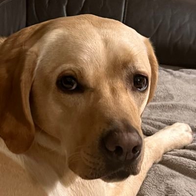 Hefin Richards Profile
