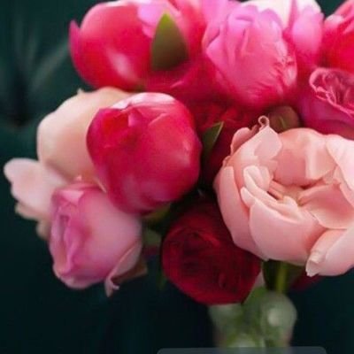 abade22711's profile picture. 