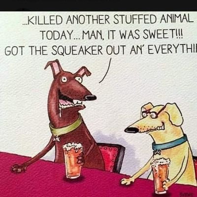 ZRoxy67's profile picture. 