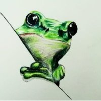 𐒇𐒖𐒔 🍃🌺 🇵🇸 (@forestpasture) 's Twitter Profile Photo 𐒇𐒖𐒔 🍃🌺 🇵🇸 (@forestpasture) 's Twitter Profile Photo