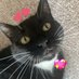 sorcha boots 🍉 (@bbgirlofficial) Twitter profile photo sorcha boots 🍉 (@bbgirlofficial) Twitter profile photo