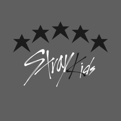 — for;; #StrayKids || fan account