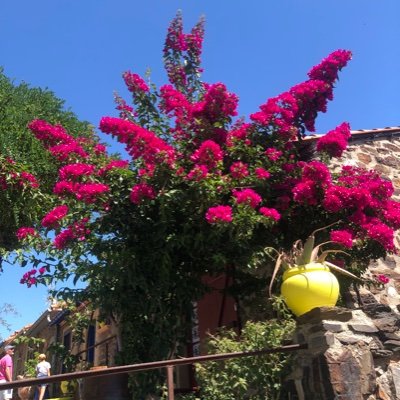 a_ambbs's profile picture. 