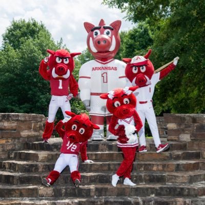 RazorbackBigRed Profile Picture