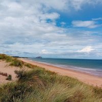 Alice In Scotlandland (@acatcalledchaos) 's Twitter Profile