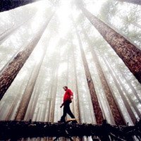 Tabitha Joule (@tabithaj33233) 's Twitter Profile
