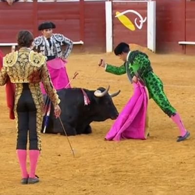 🇪🇸🇪🇸💚guarda rural de caza,,.banderillero de toros,,.amante de la caza el caballo, el campo y como no enamorado del toro. pensando en el verde 💪💪💚💚