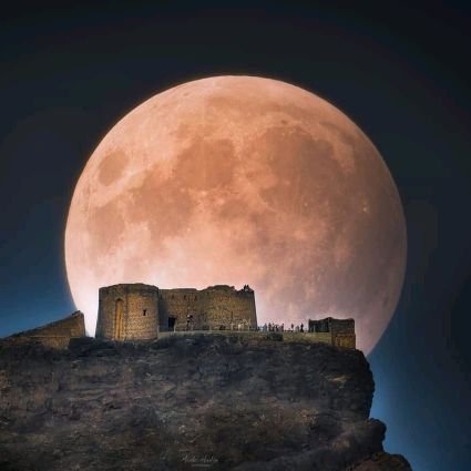 قال الفقيه أبو ثور الكلبي، سمعت الشافعي يقول: «كان مالك إذا جاءه بعض أهل الأهواء قال : «أما إنّي على بينة من ديني، وأما أنت فشاك اذهب إلى شاك مثلك فخاصمه».