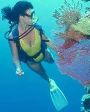 Love to travel and scuba dive!