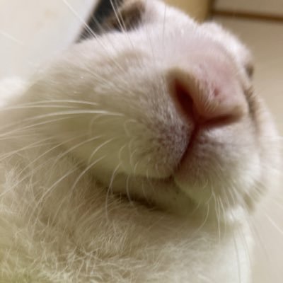 BYREDO BLANCHE 50ml バイレード　ブランシュ　香水　賀来賢人 賀来くんがインスタであげてた香水思わず注文してしまったけど届いたの