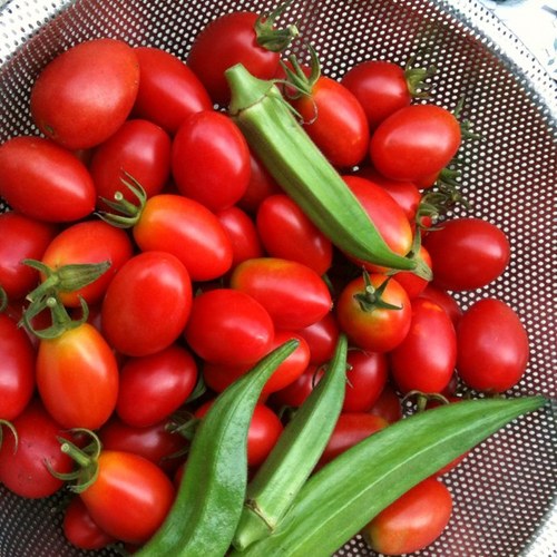 小林久美 Mahae1970 Twitter