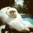 clopinpau's profile image