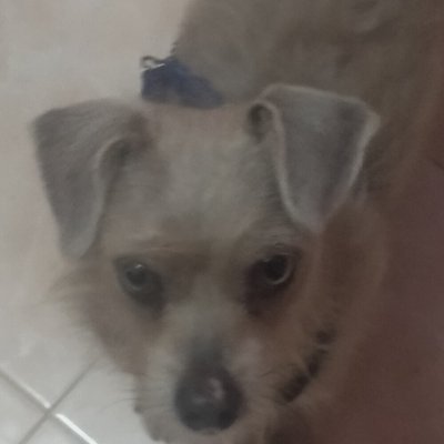 Jabdd557's profile picture. 