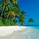 Carl Milligan - @CarlMilligan1 - Twitter