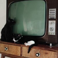 Badaje (@badaje) 's Twitter Profile Photo