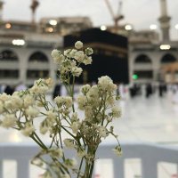 مروة محمد🌿🦋))' (@marwa2122003) Twitter profile photo