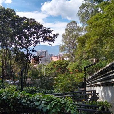 LaMamertina's profile picture. 