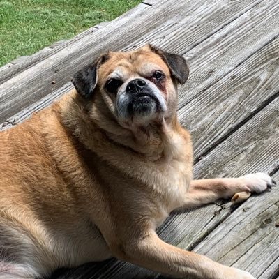 hannahhadley3's profile picture. 