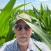 Steve Lounsbery (@lounsberyfarms) Twitter profile photo Steve Lounsbery (@lounsberyfarms) Twitter profile photo