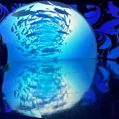 ElanaGoldman's profile picture. 