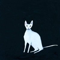 挪威小林翠子🐈‍⬛ (@lisainamerica) 's Twitter Profile Photo