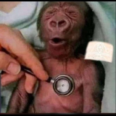 sarmee_'s profile picture. 