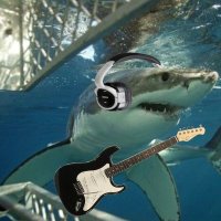 elijah (@headphoneshark) 's Twitter Profile Photo elijah (@headphoneshark) 's Twitter Profile Photo