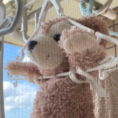 旧まめたろうさんのプロフィール画像