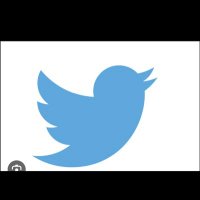 tracyz (@tracyzafian) 's Twitter Profile Photo