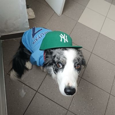 FootniteGaming's profile picture. 